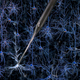 Illustration for article titled Robots could soon be probing your brain
